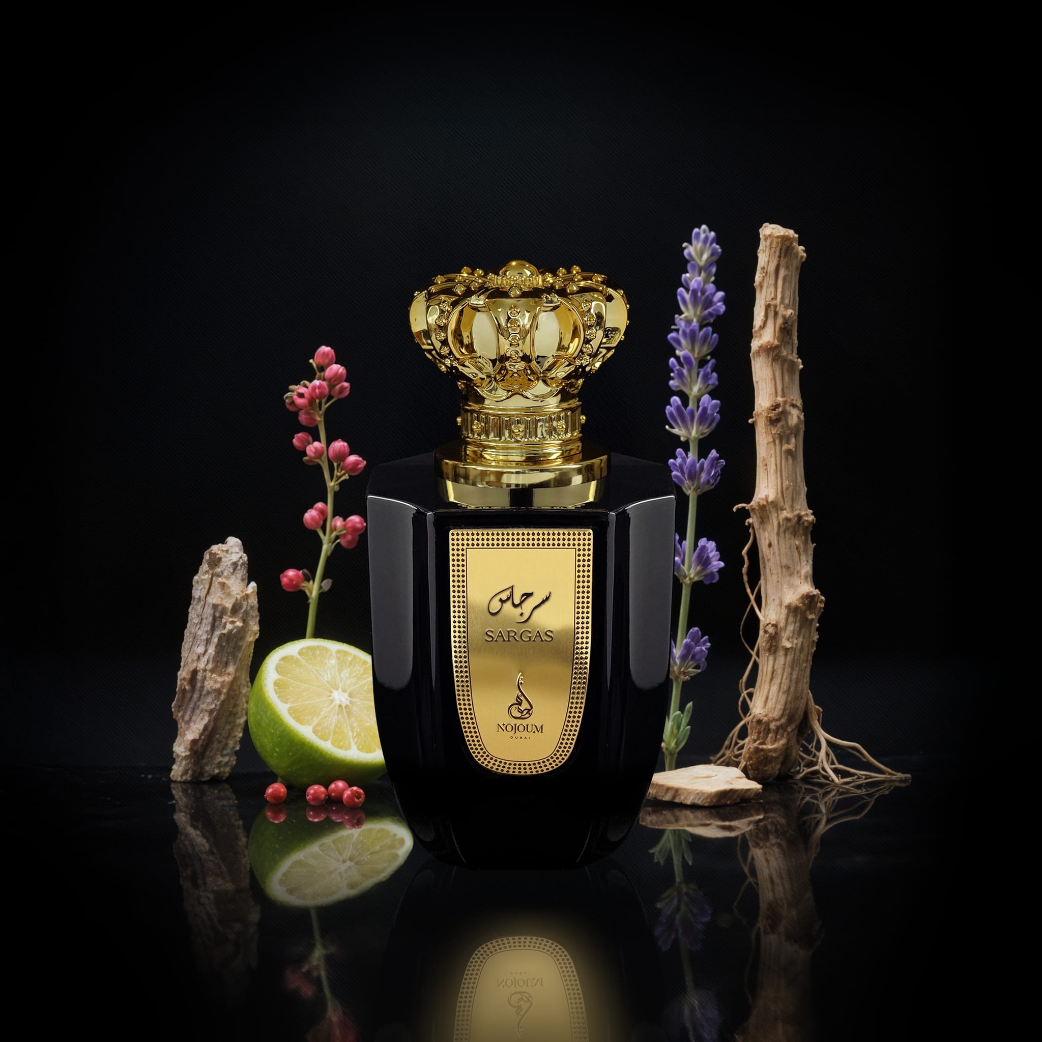 Sargas-Ingredient-Artwork.jpg (plu00033) - Apa de Parfum Sargas, Nojoum, Barbati - 100ml - imagine 3