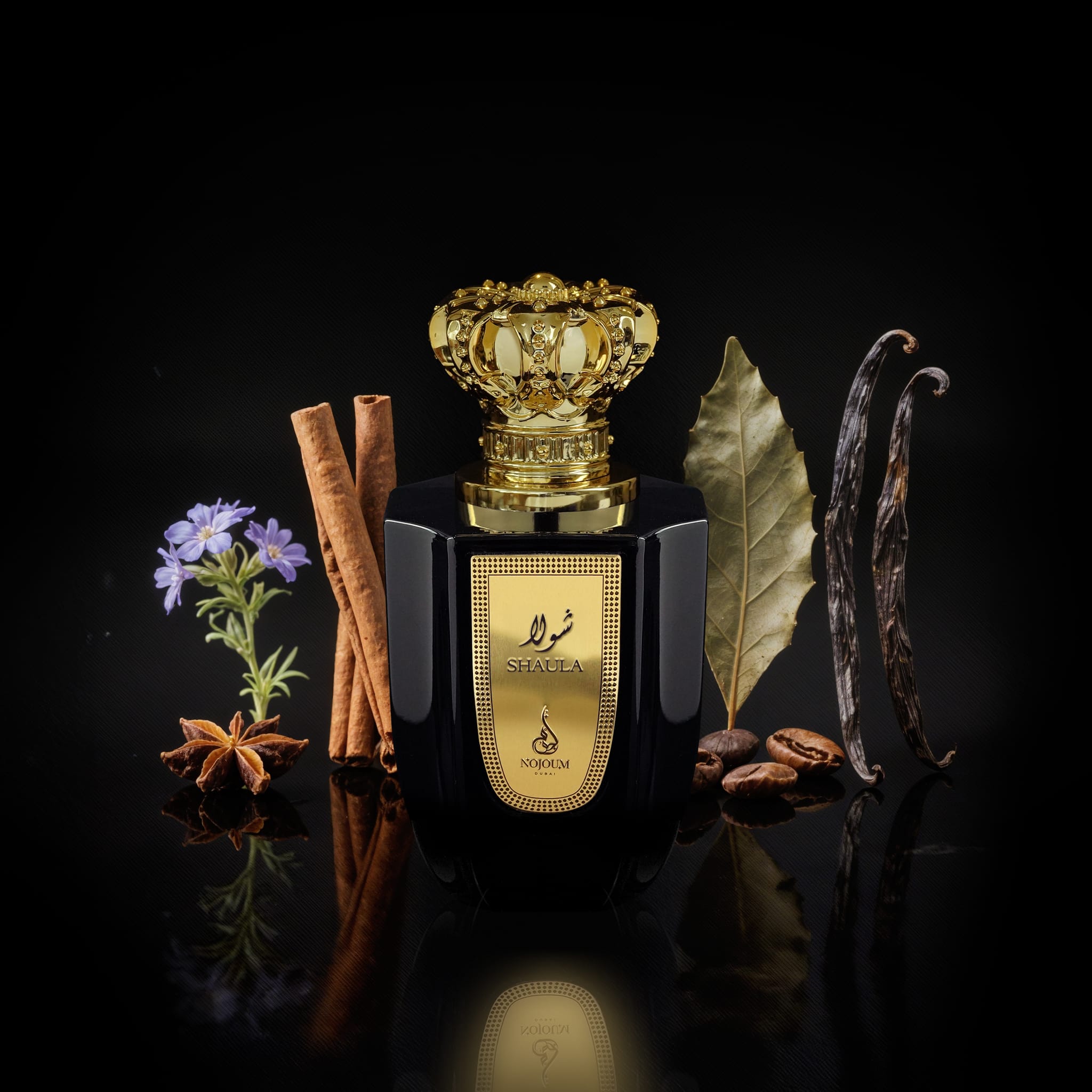 Shaula-Ingredient-Artwork.jpg (plu00037) - Apa de Parfum Shaula, Nojoum, Unisex - 100ml - imagine 3